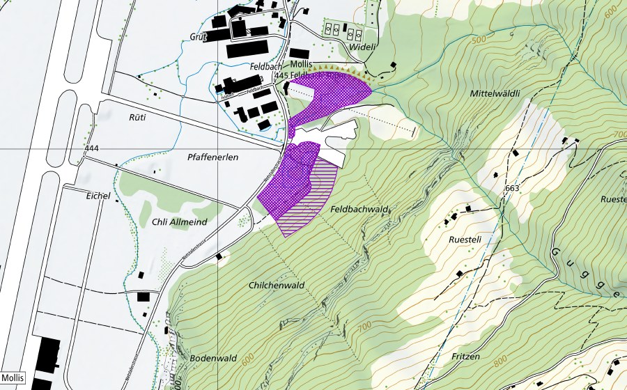 swisstopo national map showing the protected perimeter of Feldbach (Amphibian spawning site)