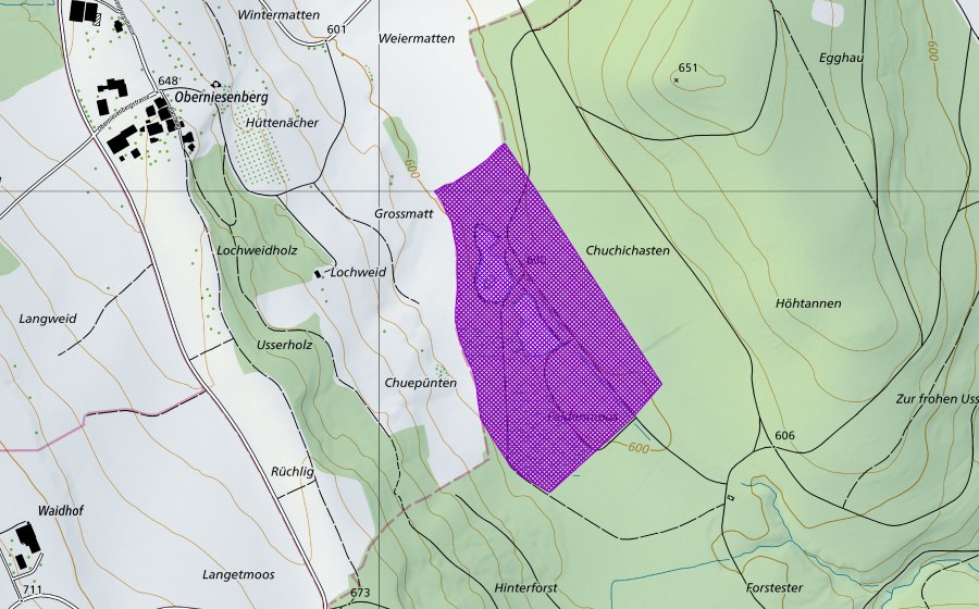 swisstopo national map showing the protected perimeter of Feldenmoos (Amphibian spawning site)