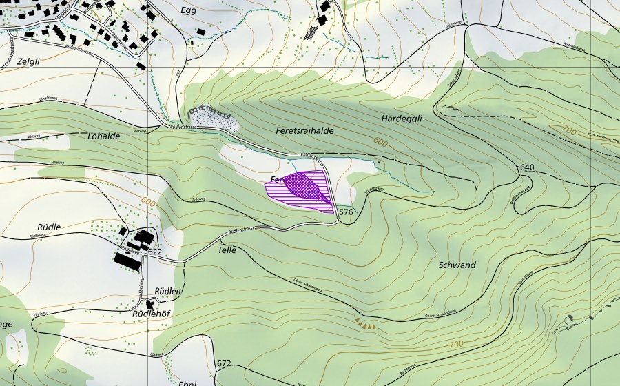 Landeskarte swisstopo mit dem Schutzperimeter von Feret (Amphibienlaichgebiet)