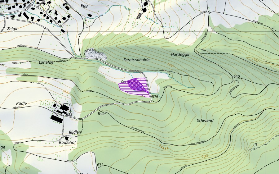 Landeskarte swisstopo mit dem Schutzperimeter von Feret (Amphibienlaichgebiet)