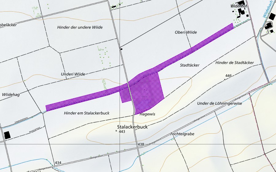 Carte nationale swisstopo avec le périmètre protégé de Feuchtgebiet Widen (Site de reproduction de batraciens)
