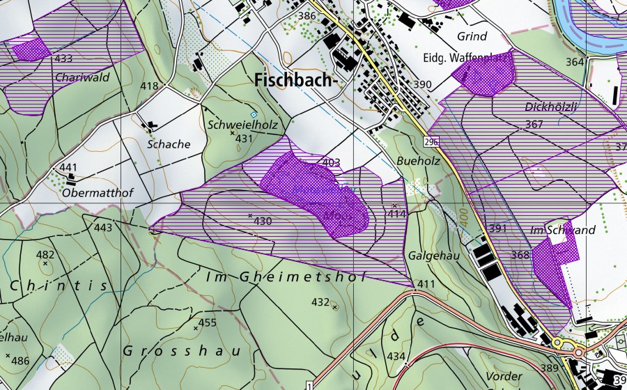Carta nazionale swisstopo con il perimetro protetto di Fischbacher Moos (Sito di riproduzione di anfibi)