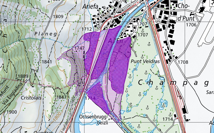 Landeskarte swisstopo mit dem Schutzperimeter von Flaz Golfweiher (Amphibienlaichgebiet)