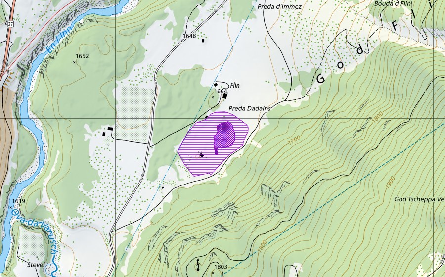 swisstopo national map showing the protected perimeter of Flin (Amphibian spawning site)