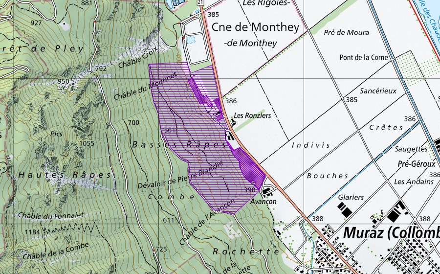 Landeskarte swisstopo mit dem Schutzperimeter von Fontaine de la Combe (Amphibienlaichgebiet)