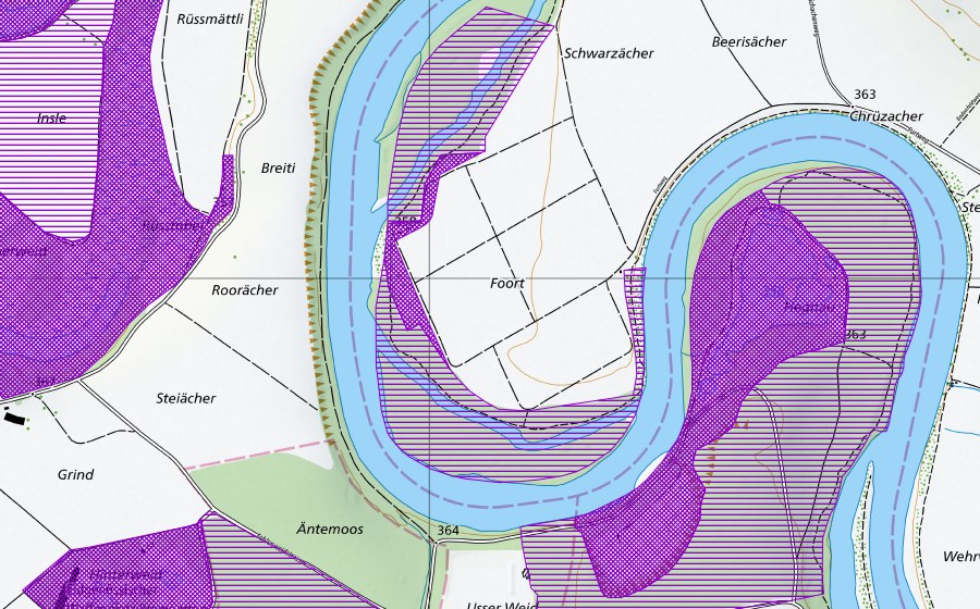 swisstopo national map showing the protected perimeter of Foort (Amphibian spawning site)