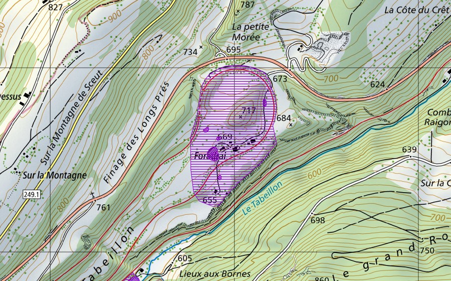 Carta nazionale swisstopo con il perimetro protetto di Foradrai (Sito di riproduzione di anfibi)