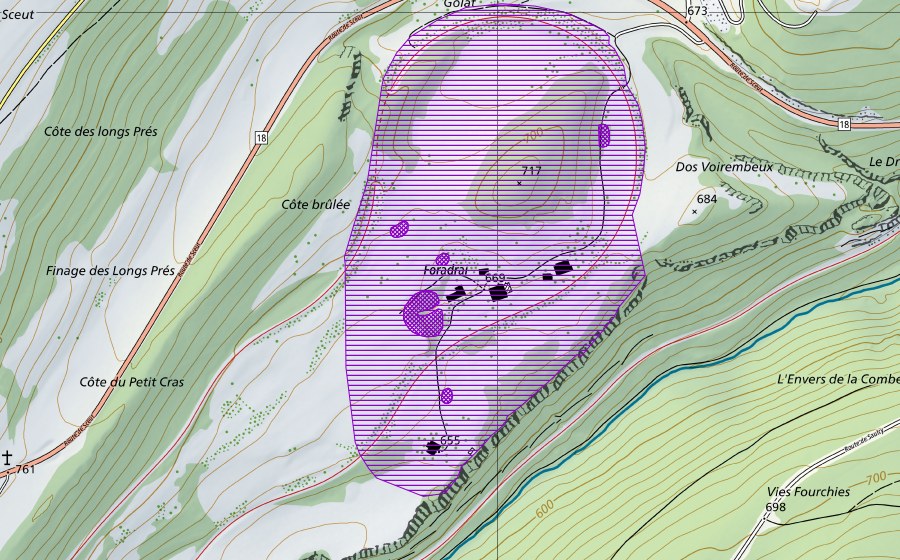 swisstopo national map showing the protected perimeter of Foradrai (Amphibian spawning site)