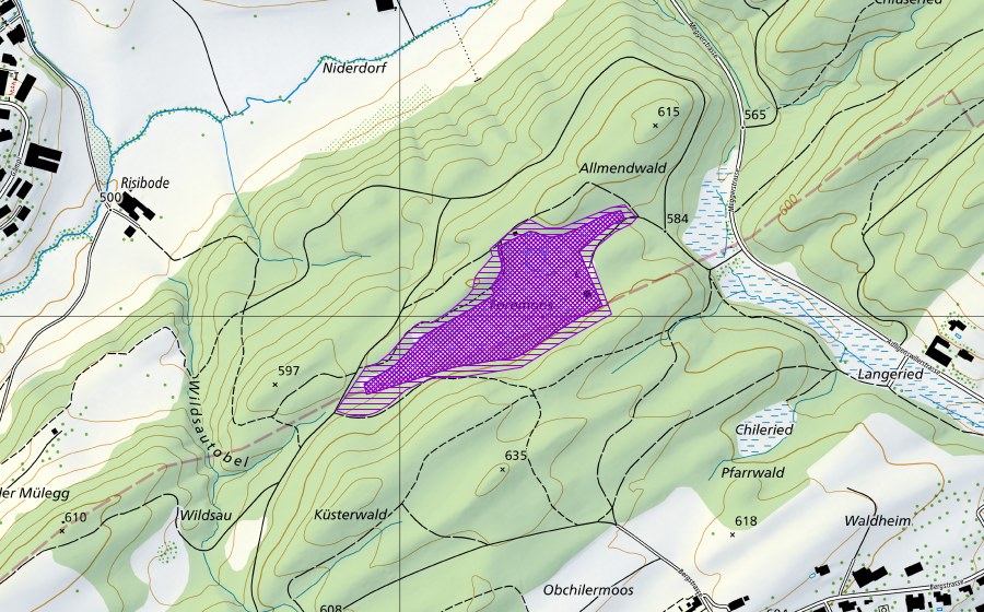 swisstopo national map showing the protected perimeter of Forenmoos (Amphibian spawning site)