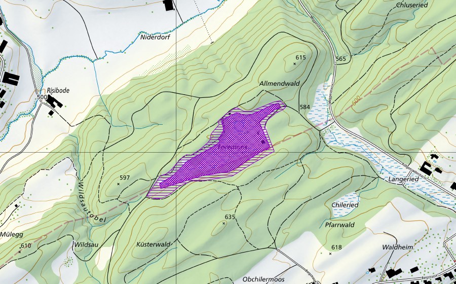Landeskarte swisstopo mit dem Schutzperimeter von Forenmoos (Amphibienlaichgebiet)