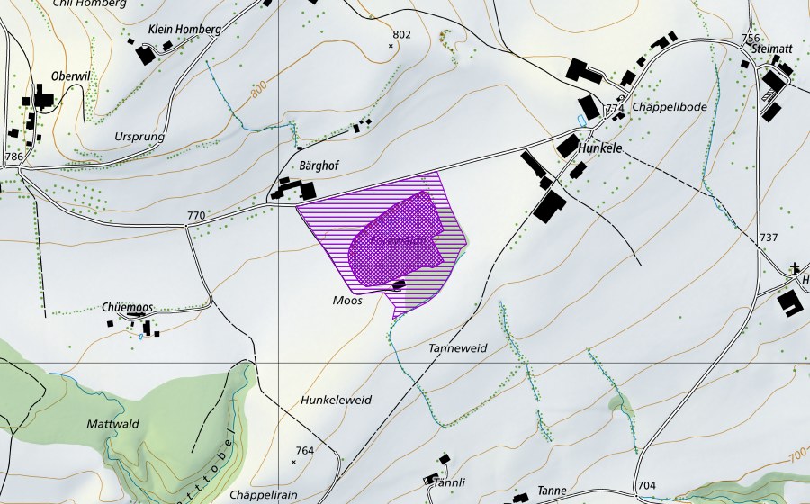 Landeskarte swisstopo mit dem Schutzperimeter von Forenwäldli (Amphibienlaichgebiet)