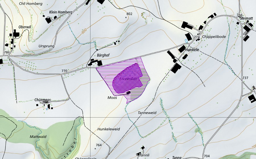 Landeskarte swisstopo mit dem Schutzperimeter von Forenwäldli (Amphibienlaichgebiet)