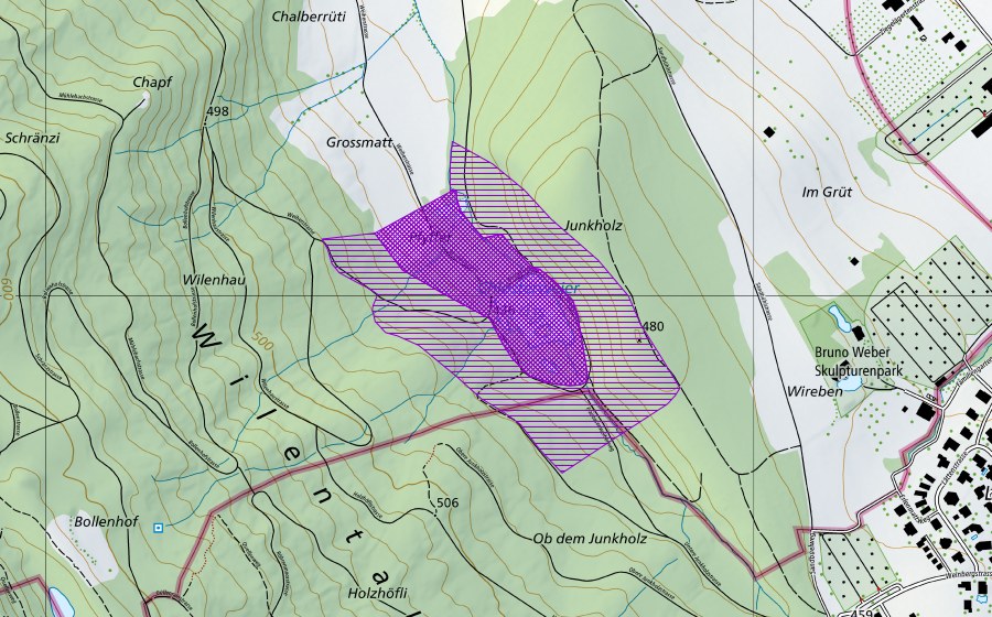 Carte nationale swisstopo avec le périmètre protégé de Franzosenweiher und Altes Bad (Site de reproduction de batraciens)