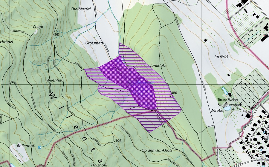 Landeskarte swisstopo mit dem Schutzperimeter von Franzosenweiher und Altes Bad (Amphibienlaichgebiet)
