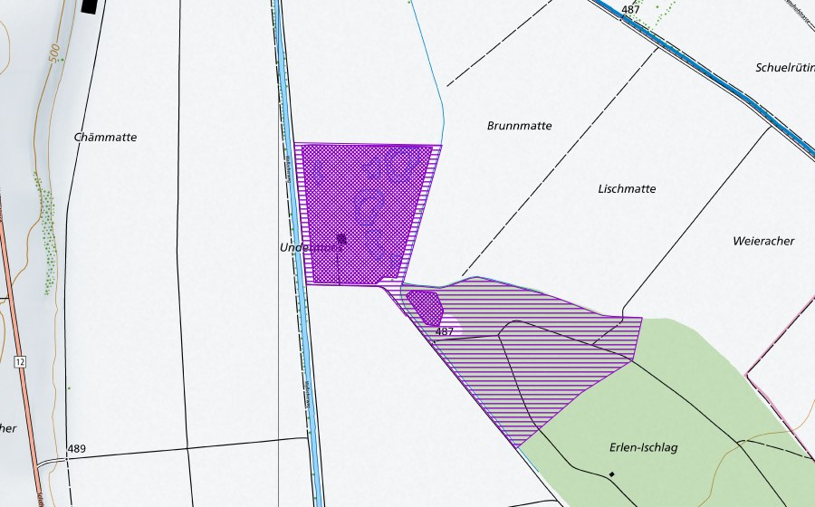 swisstopo national map showing the protected perimeter of Fraubrunnenmoos (Amphibian spawning site)