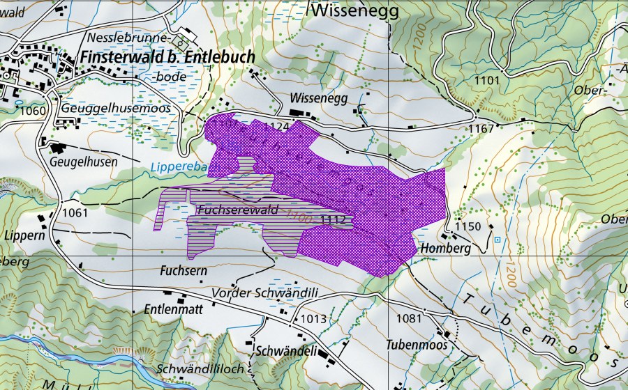 Landeskarte swisstopo mit dem Schutzperimeter von Fuchseren (Amphibienlaichgebiet)