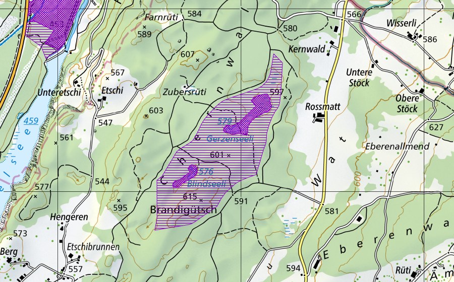 Carte nationale swisstopo avec le périmètre protégé de Gerzensee, Blindseeli (Site de reproduction de batraciens)