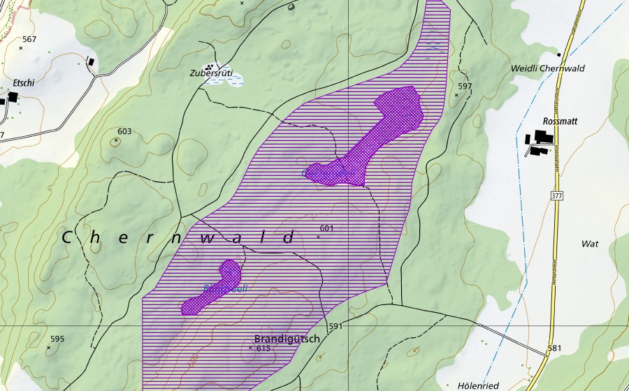 Landeskarte swisstopo mit dem Schutzperimeter von Gerzensee, Blindseeli (Amphibienlaichgebiet)