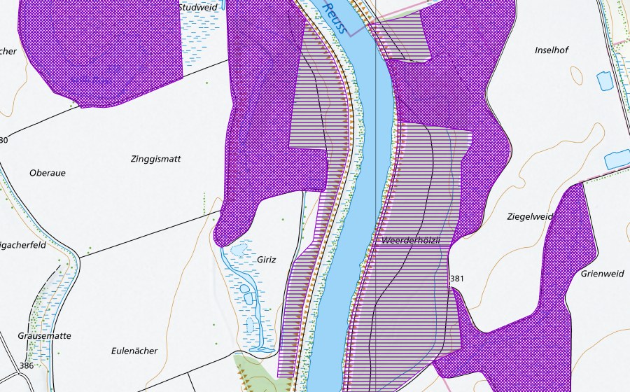 Landeskarte swisstopo mit dem Schutzperimeter von Giriz (Amphibienlaichgebiet)