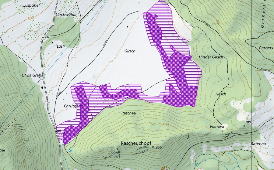 Landeskarte swisstopo mit dem Schutzperimeter von Girsch (Amphibienlaichgebiet)