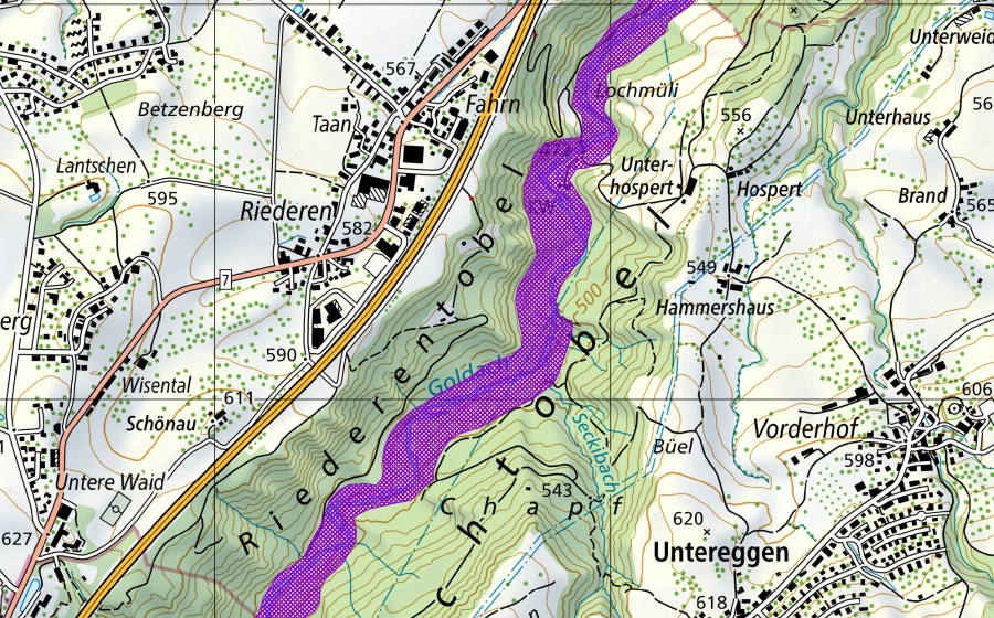 swisstopo national map showing the protected perimeter of Goldachtobel (Amphibian spawning site)