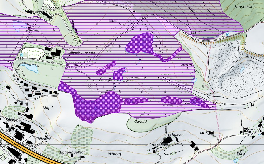 Carte nationale swisstopo avec le périmètre protégé de Golfplatz Nuolen (Site de reproduction de batraciens)