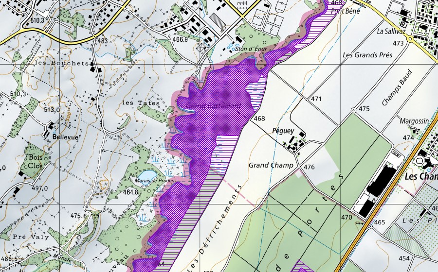 swisstopo national map showing the protected perimeter of Grand Bataillard, Marais de la Versoix (Amphibian spawning site)