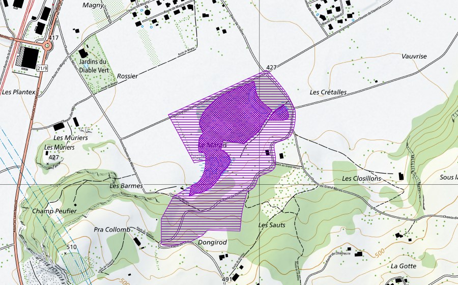 Carte nationale swisstopo avec le périmètre protégé de Grand Marais (Site de reproduction de batraciens)