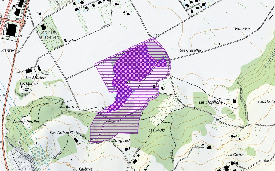 Carte nationale swisstopo avec le périmètre protégé de Grand Marais (Site de reproduction de batraciens)