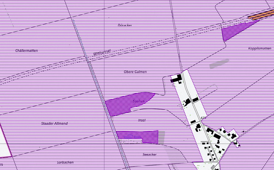 swisstopo national map showing the protected perimeter of Grenchner Witi (Amphibian spawning site)
