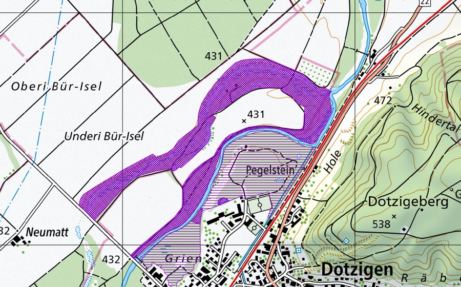 Landeskarte swisstopo mit dem Schutzperimeter von Grien nordwestl. Dotzigen (Amphibienlaichgebiet)