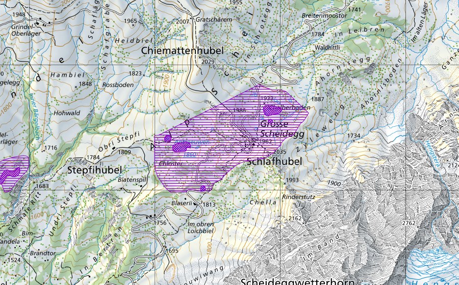 swisstopo national map showing the protected perimeter of Grosse Scheidegg (Amphibian spawning site)