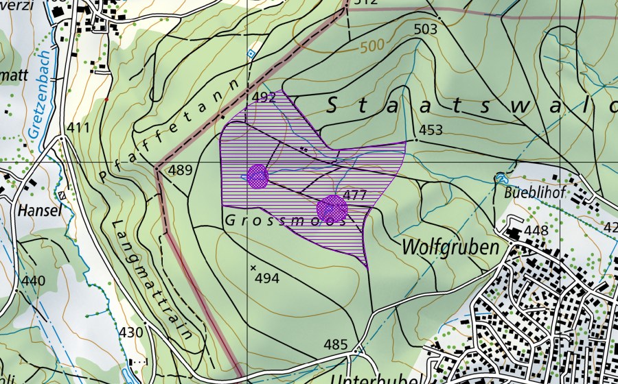 Landeskarte swisstopo mit dem Schutzperimeter von Grossmoos (Amphibienlaichgebiet)