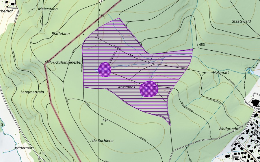 Carte nationale swisstopo avec le périmètre protégé de Grossmoos (Site de reproduction de batraciens)