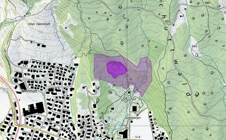 Carte nationale swisstopo avec le périmètre protégé de Grosswijer (Site de reproduction de batraciens)
