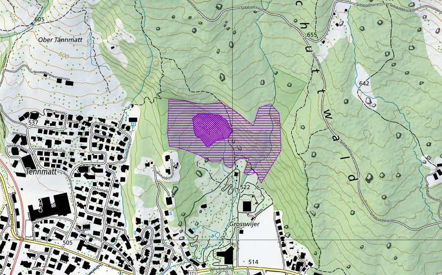 Carte nationale swisstopo avec le périmètre protégé de Grosswijer (Site de reproduction de batraciens)