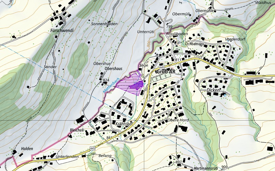 swisstopo national map showing the protected perimeter of Grub AR/Dorfweiher (Amphibian spawning site)
