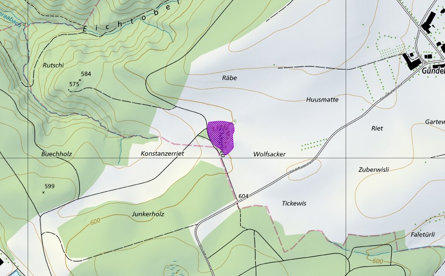 Carte nationale swisstopo avec le périmètre protégé de Grube Gündelhart (Site de reproduction de batraciens)