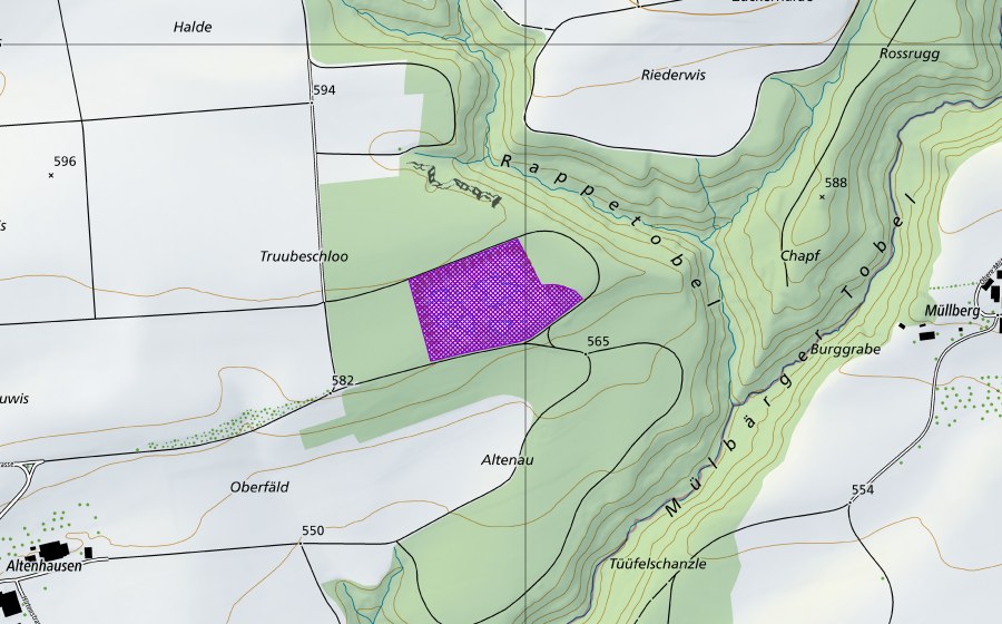 Landeskarte swisstopo mit dem Schutzperimeter von Grube Trubeschloo (Amphibienlaichgebiet)
