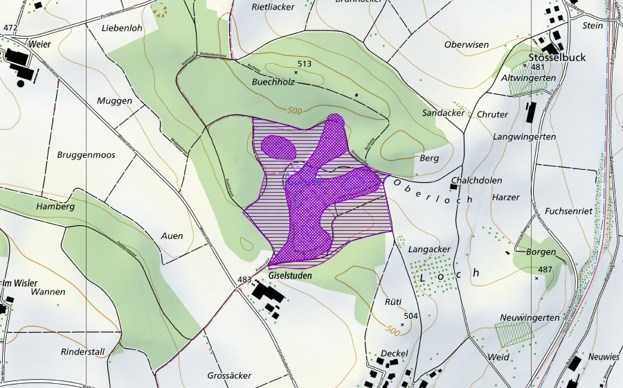 Landeskarte swisstopo mit dem Schutzperimeter von Gurisee (Amphibienlaichgebiet)
