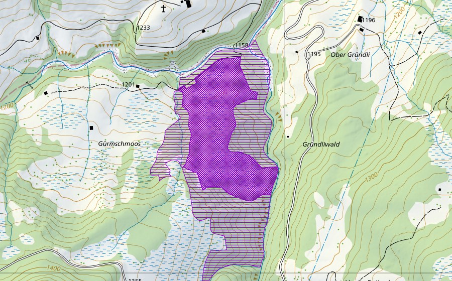 swisstopo national map showing the protected perimeter of Gürmschmoos (Amphibian spawning site)