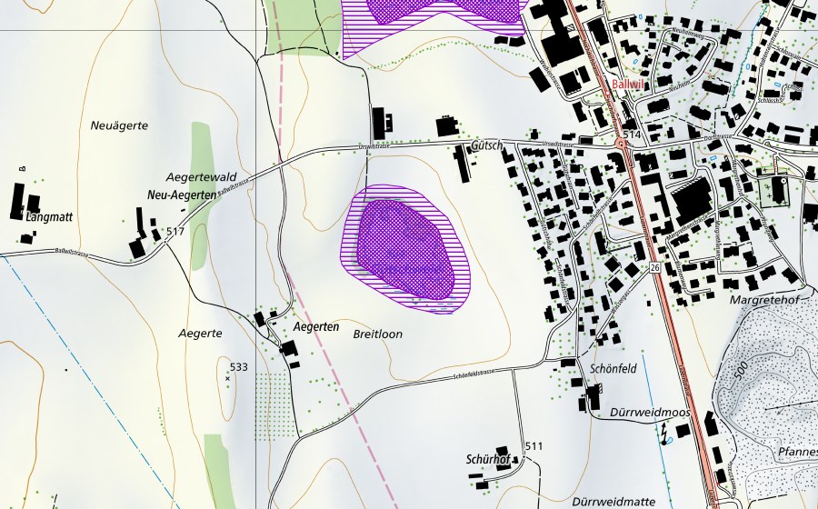 Landeskarte swisstopo mit dem Schutzperimeter von Gütschweiher (Amphibienlaichgebiet)