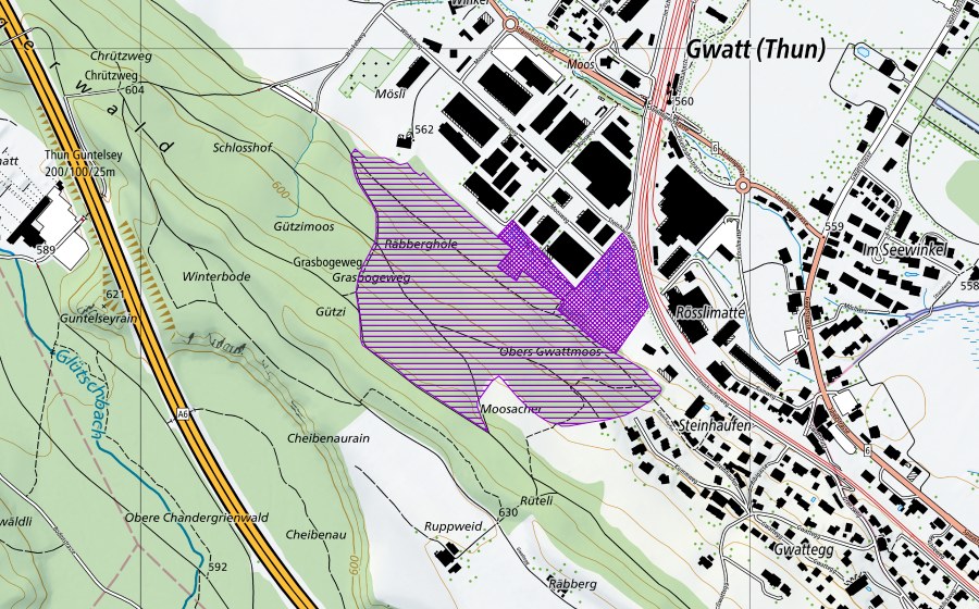 Landeskarte swisstopo mit dem Schutzperimeter von Gwattmösli (Amphibienlaichgebiet)