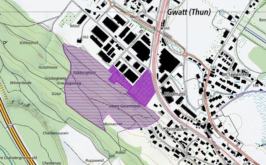 Carta nazionale swisstopo con il perimetro protetto di Gwattmösli (Sito di riproduzione di anfibi)