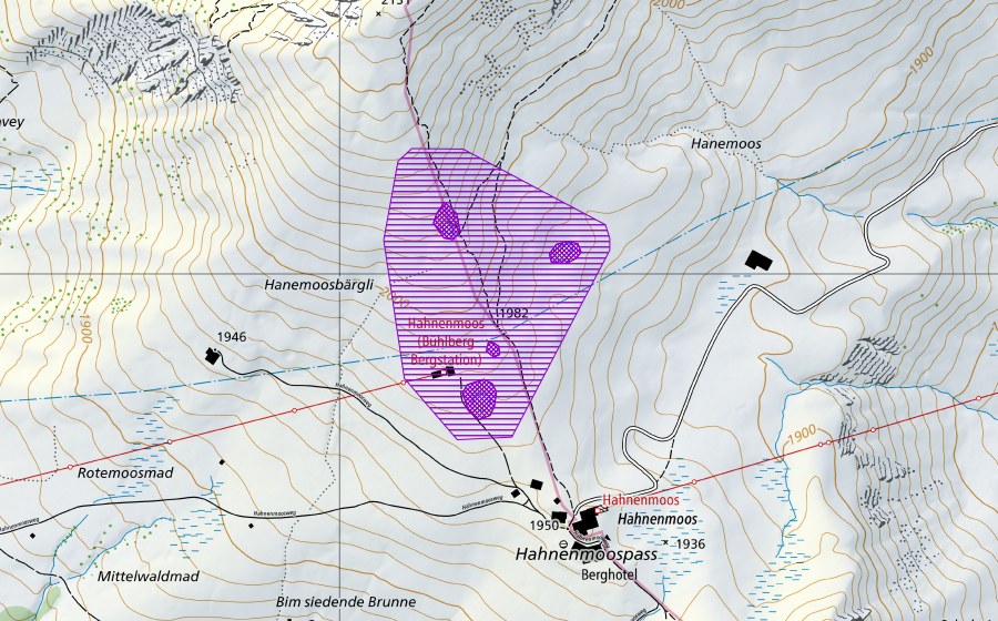 Landeskarte swisstopo mit dem Schutzperimeter von Hahnenmoosbergli (Amphibienlaichgebiet)