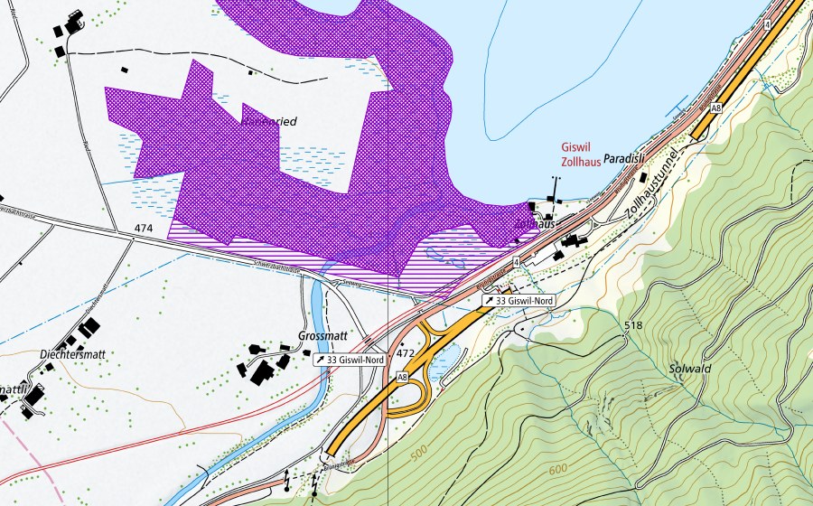 swisstopo national map showing the protected perimeter of Hanenriet (Amphibian spawning site)