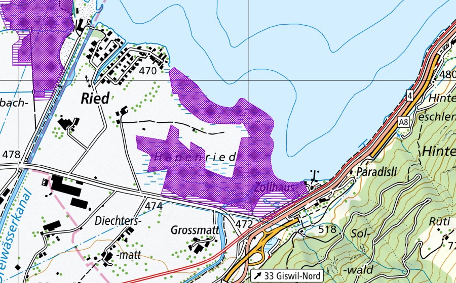 Landeskarte swisstopo mit dem Schutzperimeter von Hanenriet (Amphibienlaichgebiet)
