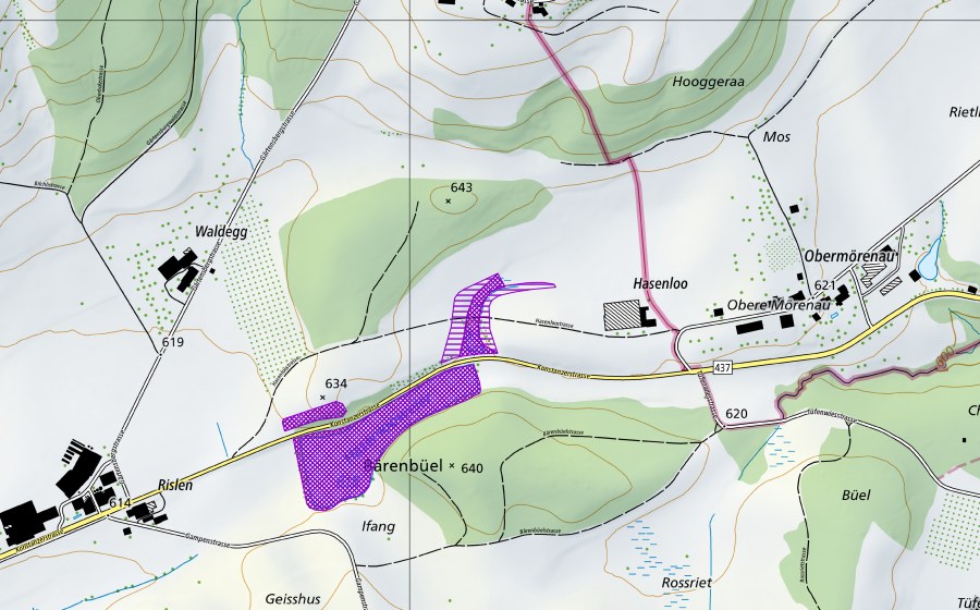 Landeskarte swisstopo mit dem Schutzperimeter von Hasenlooweiher (Amphibienlaichgebiet)