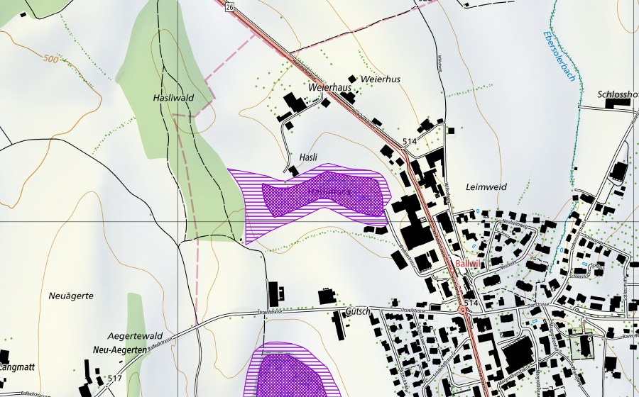 Carte nationale swisstopo avec le périmètre protégé de Hasliweiher (Site de reproduction de batraciens)