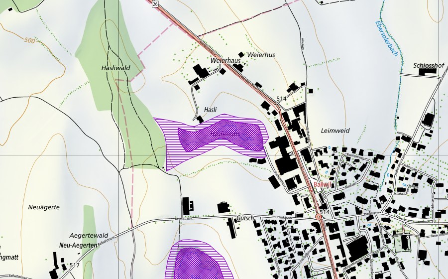 Carte nationale swisstopo avec le périmètre protégé de Hasliweiher (Site de reproduction de batraciens)
